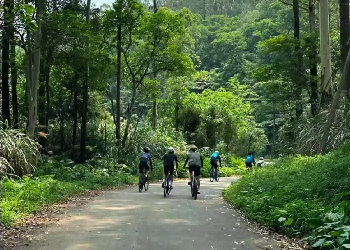 骑行场地